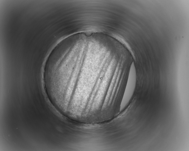 X0000088751091200706282200