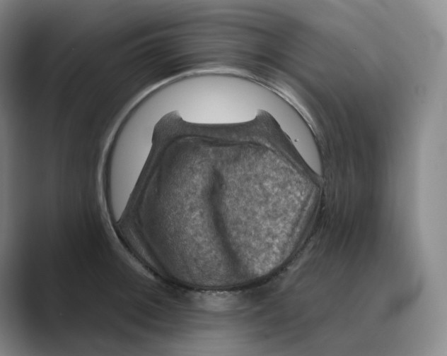 X0000088751092200706282200