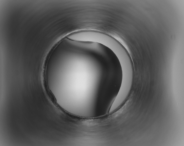 X0000088751093200706282200