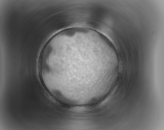 X0000088751094200706282200