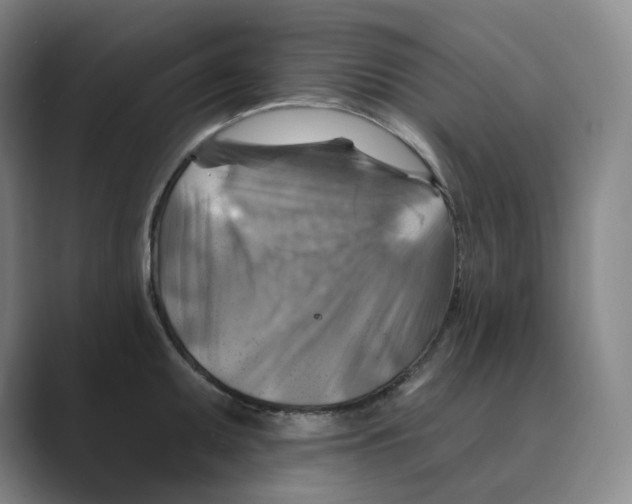 X0000088751095200706282200