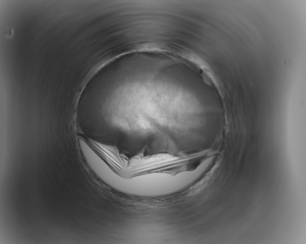 X0000088751097200706282200