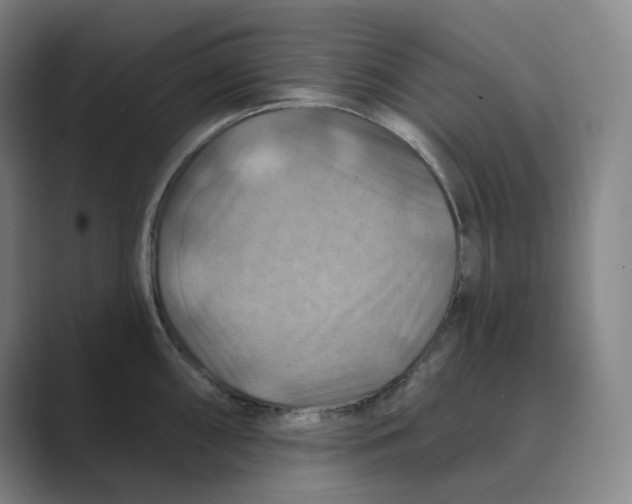 X0000088751098200706282200