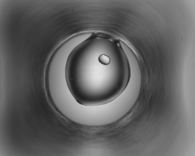 X0000088751101200706282200