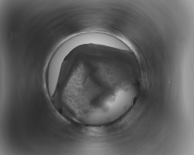 X0000088751102200706282200