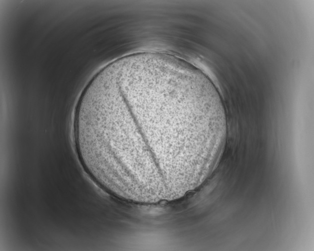 X0000088751103200706282200