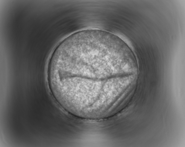 X0000088751104200706282200