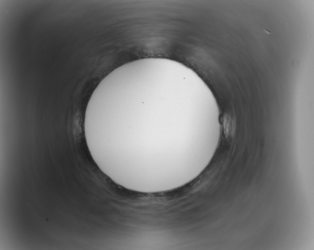 X0000088751107200706282159