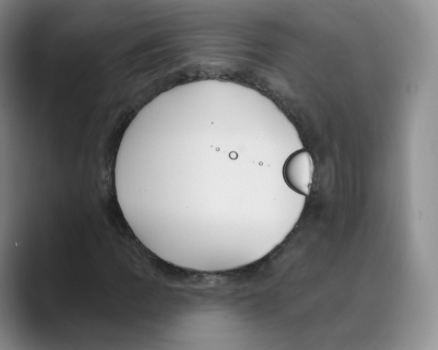 X0000088751109200706282159