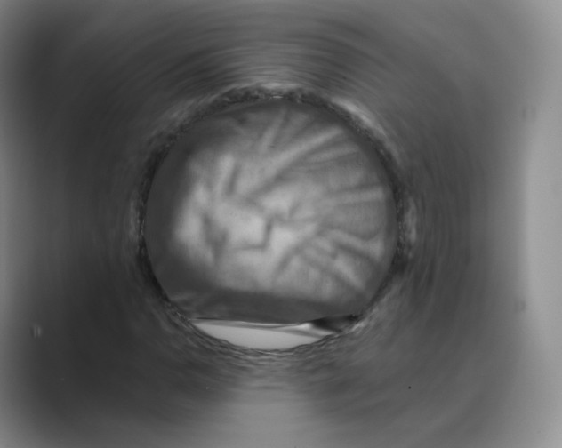 X0000088751110200706282159