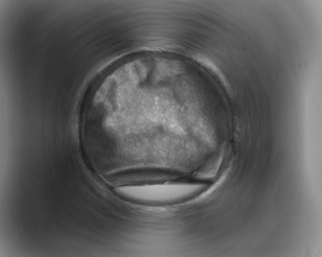 X0000088751114200706282200