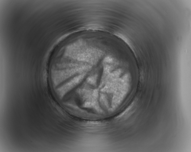 X0000088751115200706282200