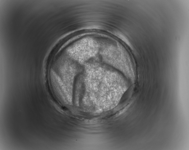 X0000088751116200706282200