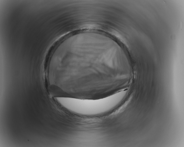 X0000088751117200706282200