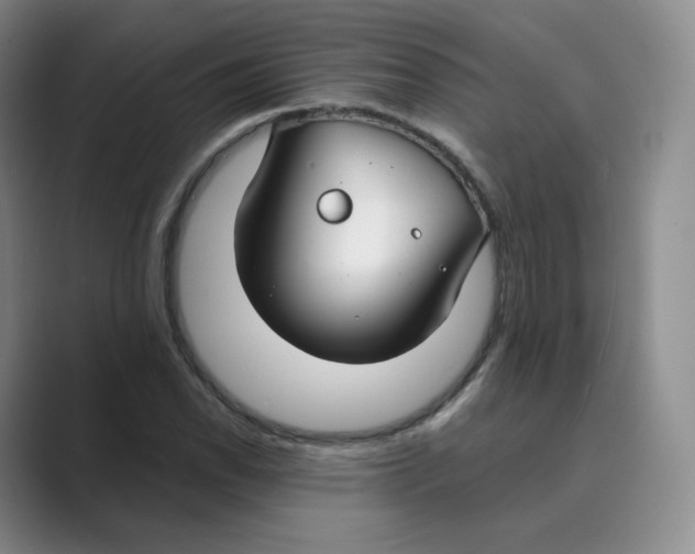 X0000088751118200706282200