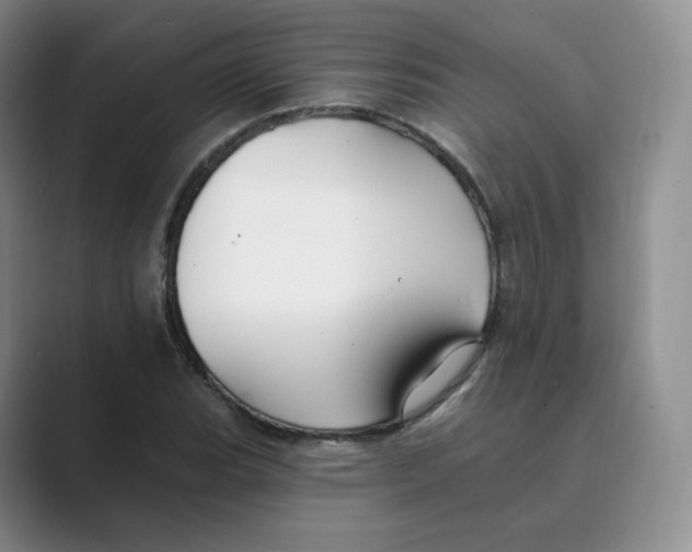 X0000088751119200706282200