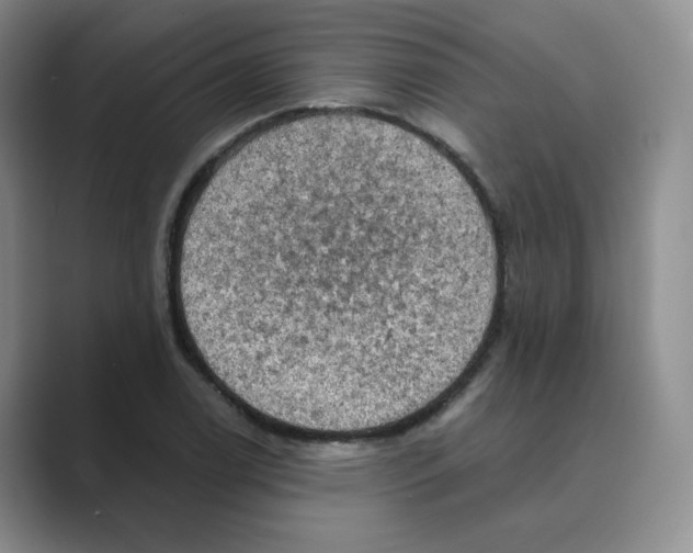 X0000088751122200706282200