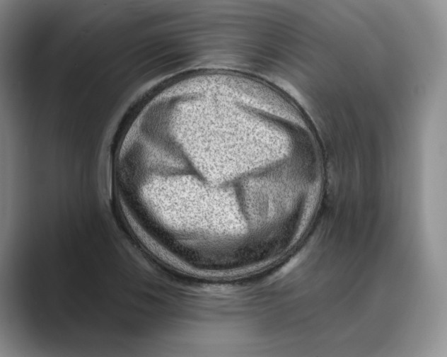 X0000088751123200706282200