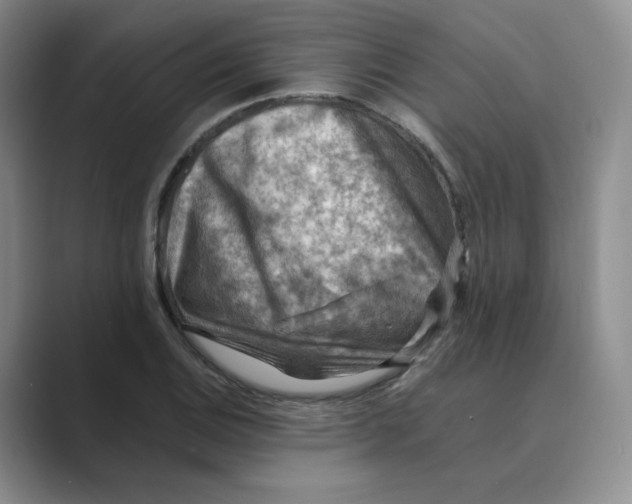 X0000088751124200706282200