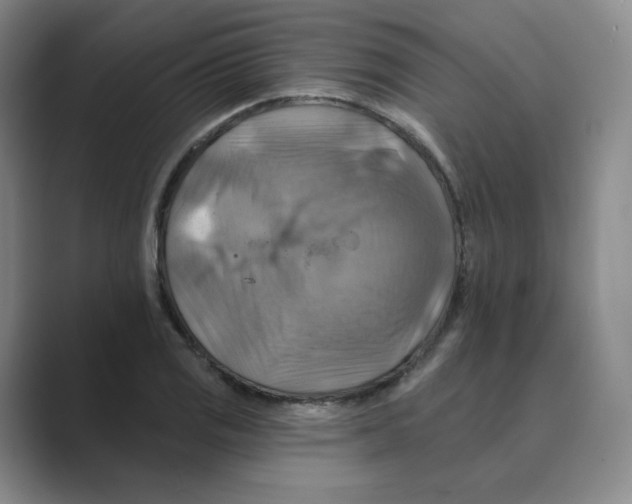 X0000088751125200706282200