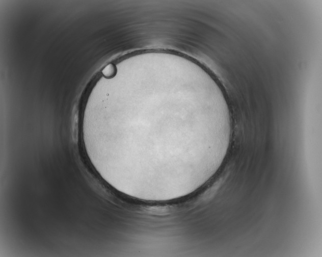 X0000088751126200706282200