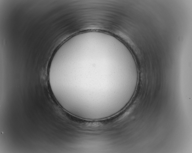 X0000088751129200706282200