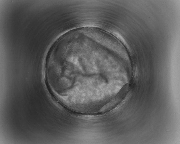 X0000088751132200706282200