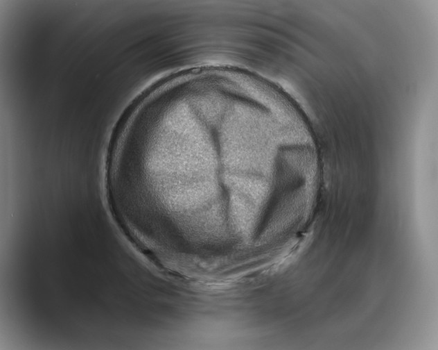 X0000088751134200706282200