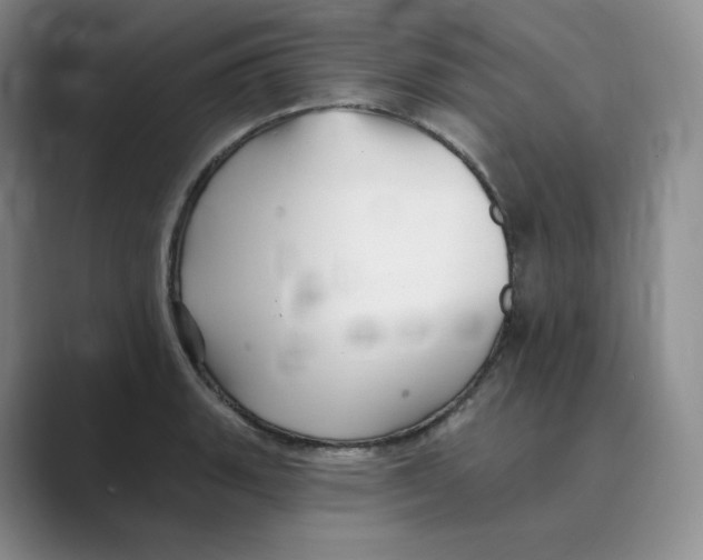 X0000088751135200706282200