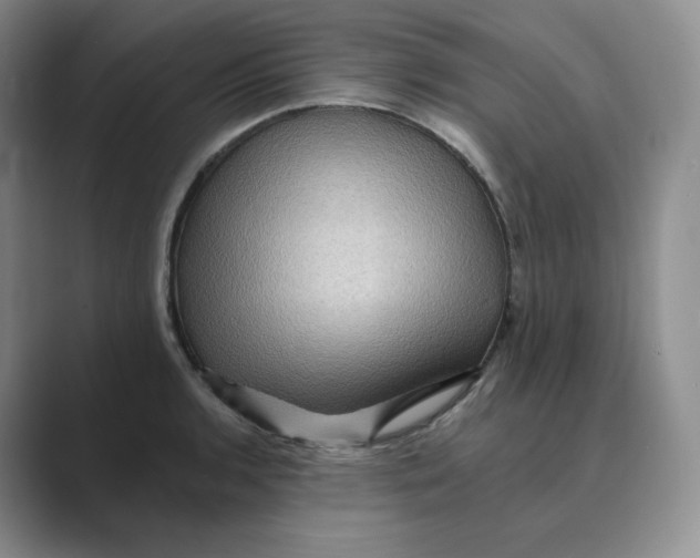 X0000088751136200706282200