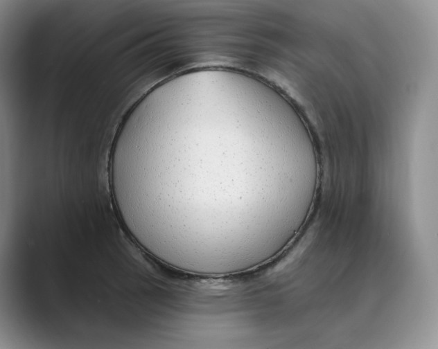 X0000088751137200706282200