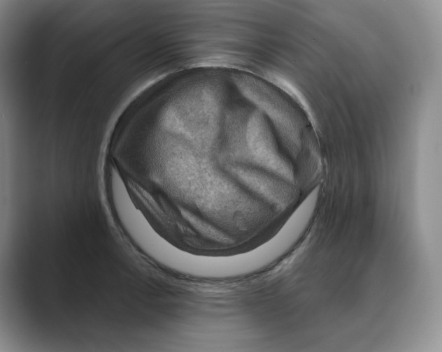 X0000088751138200706282200