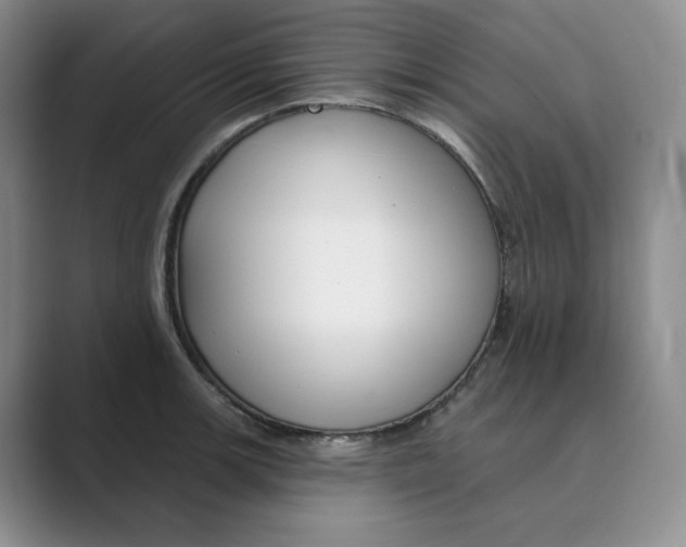 X0000088751139200706282200