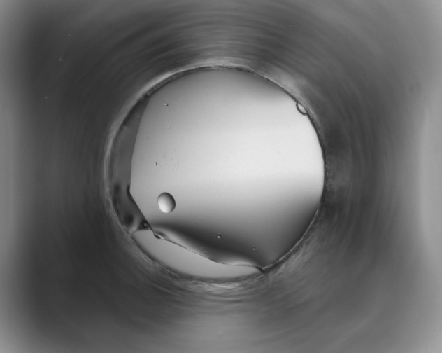 X0000088751140200706282200