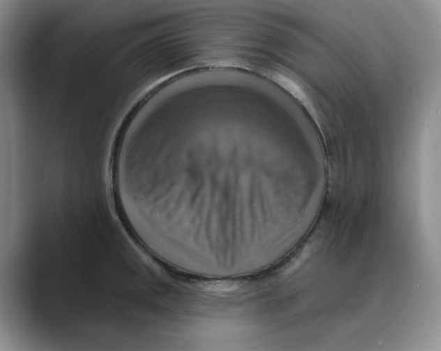 X0000088751141200706282200