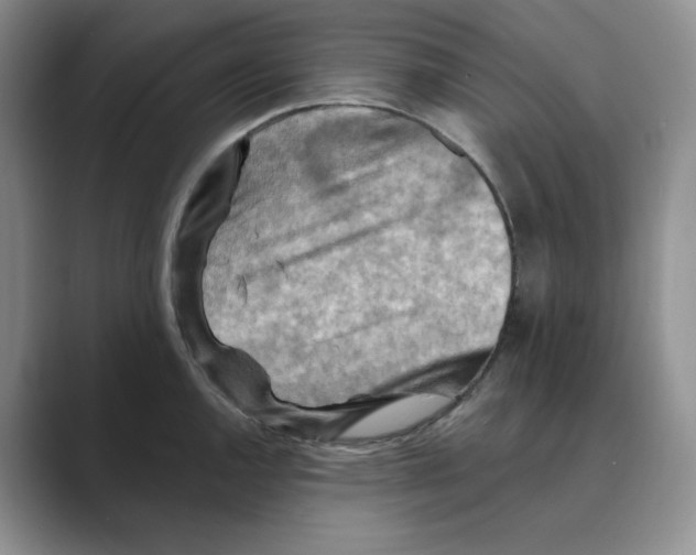 X0000088751144200706282200