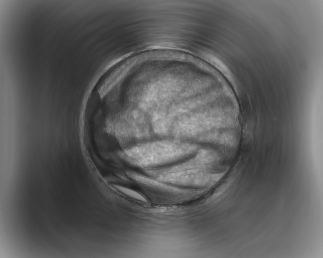 X0000088751146200706282200