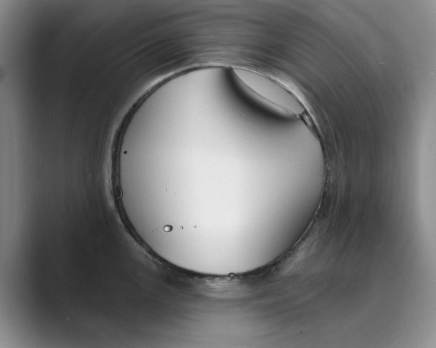 X0000088751147200706282200