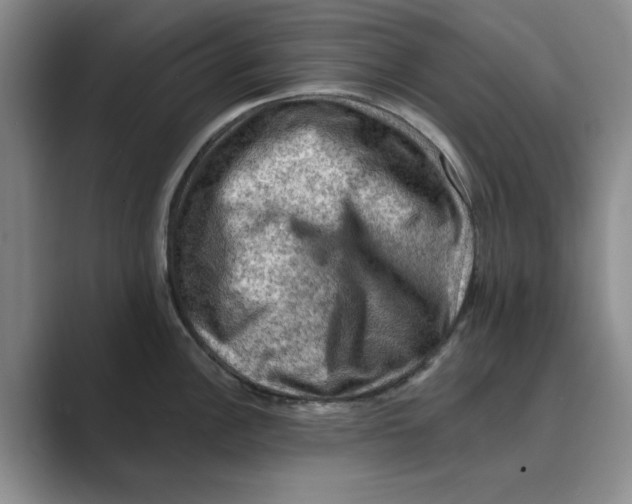 X0000088751148200706282200