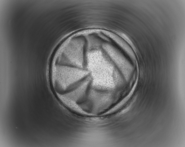 X0000088751149200706282200