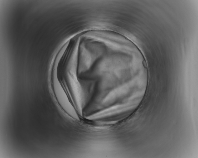 X0000088751152200706282200