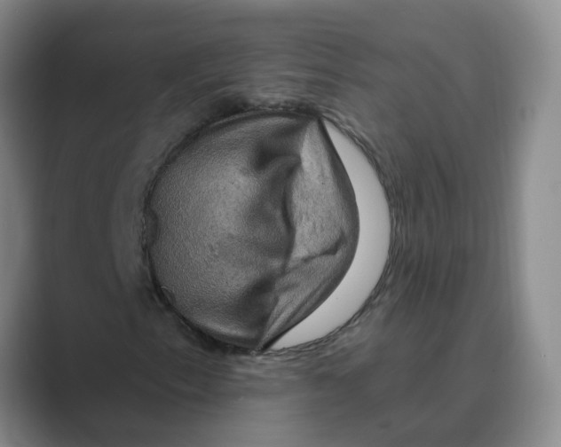 X0000088751153200706282159