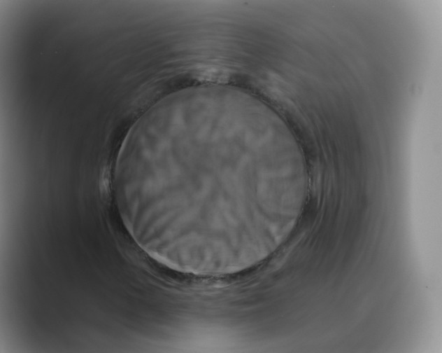 X0000088751154200706282159