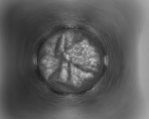 X0000088751155200706282159