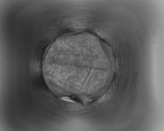 X0000088751156200706282159