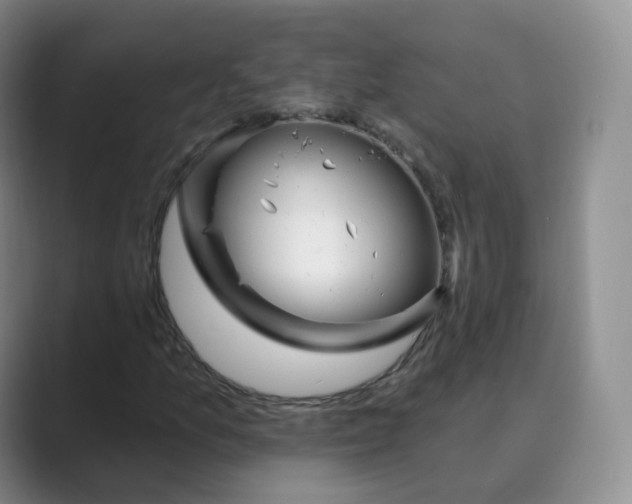 X0000088751157200706282159