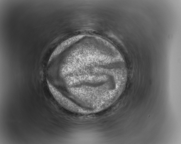 X0000088751159200706282159