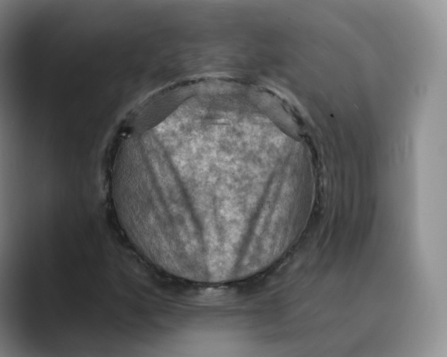 X0000088751160200706282159