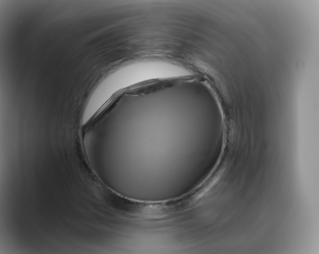 X0000088751161200706282159