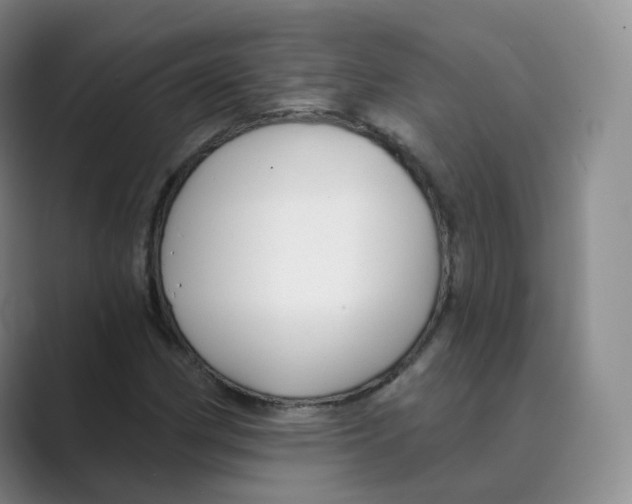 X0000088751162200706282159